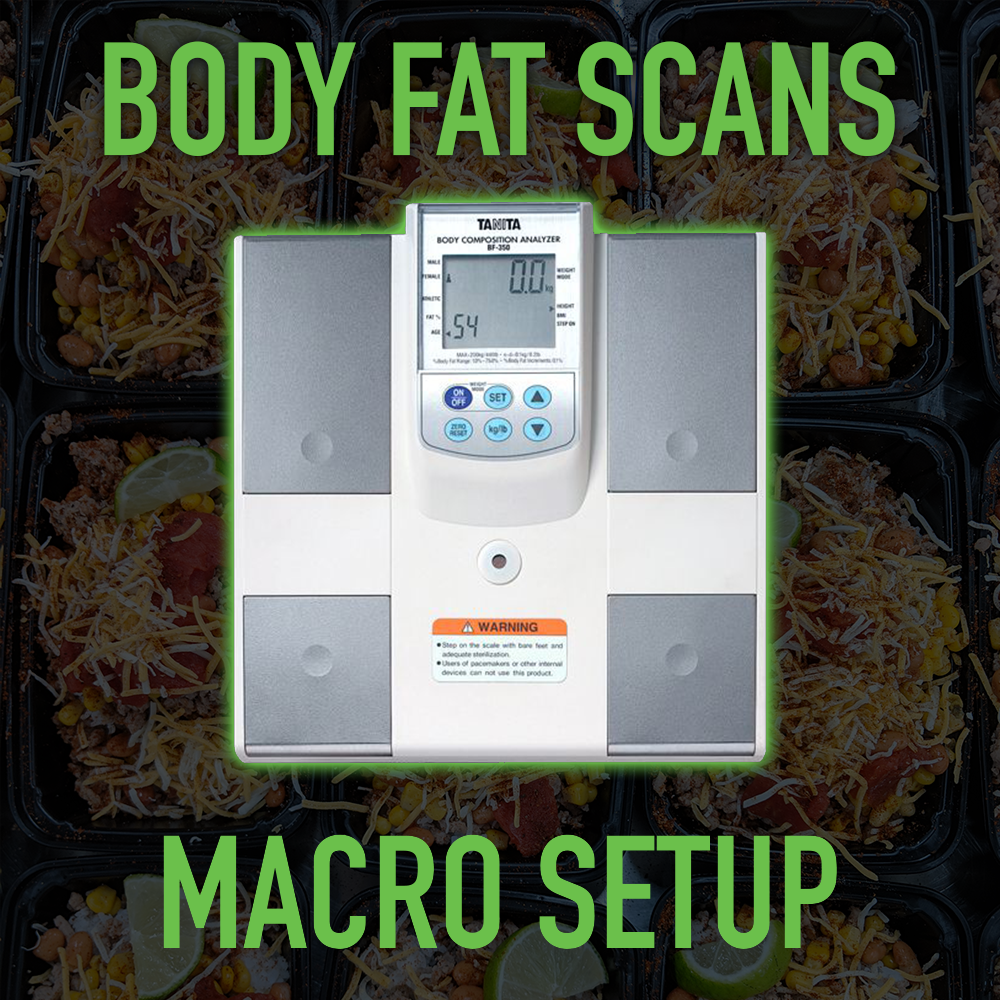 Body Fat Scans & Macro Setup