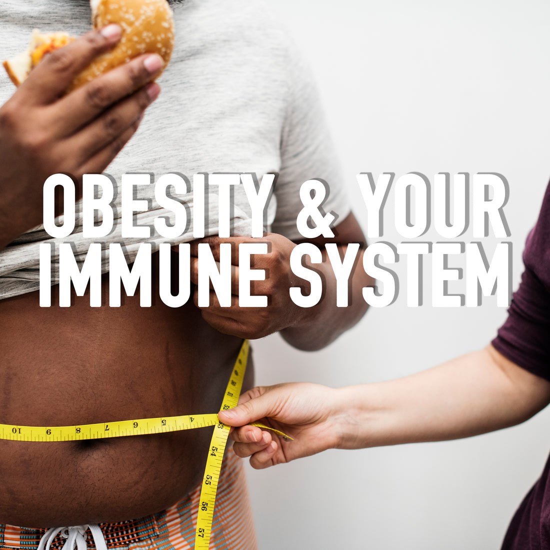 Obesity and the Immune System: an Important Link